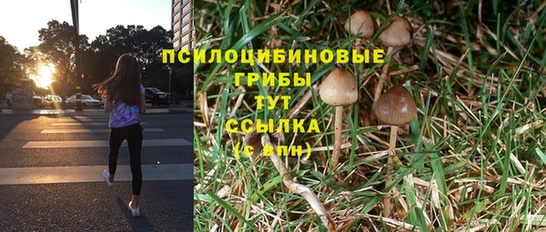 мескалин Арсеньев